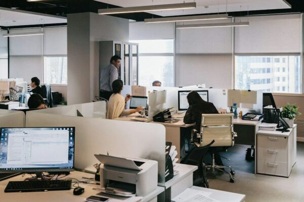 people inside office